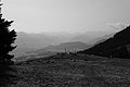 L1001054 - Bernhard Saalfeld