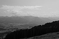 L1001057 - Bernhard Saalfeld