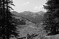 L1001058 - Bernhard Saalfeld