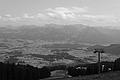 L1001060 - Bernhard Saalfeld
