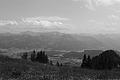 L1001062 - Bernhard Saalfeld
