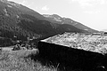 L1001065 - Bernhard Saalfeld