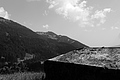 L1001070 - Bernhard Saalfeld