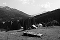 L1001071 - Bernhard Saalfeld