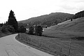 L1001079 - Bernhard Saalfeld