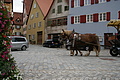 DSC05269 - Bernhard Saalfeld