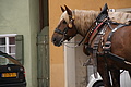 DSC05270 - Bernhard Saalfeld