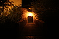 DSC05308 - Bernhard Saalfeld