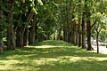 DSC05347 - Bernhard Saalfeld