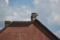 DSC05377 - Bernhard Saalfeld