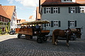 DSC05412 - Bernhard Saalfeld