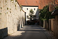 DSC05427 - Bernhard Saalfeld