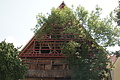 DSC05526 - Bernhard Saalfeld