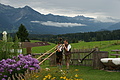 DSC05553 - Bernhard Saalfeld