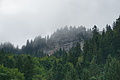 DSC05557 - Bernhard Saalfeld