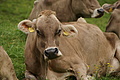 DSC05558 - Bernhard Saalfeld