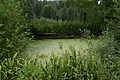 DSC05561 - Bernhard Saalfeld