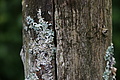 DSC05562 - Bernhard Saalfeld