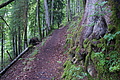 DSC05564 - Bernhard Saalfeld