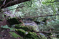 DSC05565 - Bernhard Saalfeld