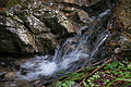 DSC05566 - Bernhard Saalfeld