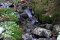 DSC05567 - Bernhard Saalfeld
