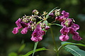 DSC05570 - Bernhard Saalfeld