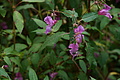 DSC05572 - Bernhard Saalfeld