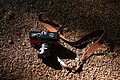 DSC05575 - Bernhard Saalfeld