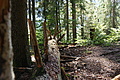 DSC05577 - Bernhard Saalfeld