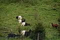 DSC05604 - Bernhard Saalfeld