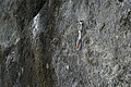 DSC05605 - Bernhard Saalfeld