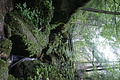 DSC05612 - Bernhard Saalfeld