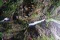 DSC05615 - Bernhard Saalfeld