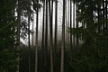 DSC05626 - Bernhard Saalfeld
