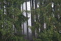DSC05627 - Bernhard Saalfeld