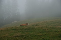 DSC05628 - Bernhard Saalfeld