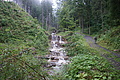 DSC05632 - Bernhard Saalfeld
