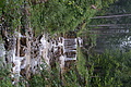 DSC05633 - Bernhard Saalfeld