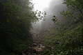 DSC05642 - Bernhard Saalfeld
