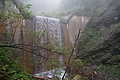 DSC05643 - Bernhard Saalfeld