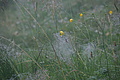 DSC05650 - Bernhard Saalfeld
