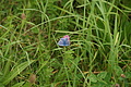 DSC05656 - Bernhard Saalfeld