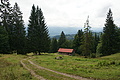 DSC05657 - Bernhard Saalfeld