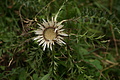 DSC05658 - Bernhard Saalfeld