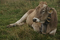 DSC05670 - Bernhard Saalfeld