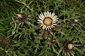 DSC05674 - Bernhard Saalfeld