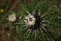 DSC05676 - Bernhard Saalfeld