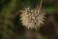 DSC05677 - Bernhard Saalfeld