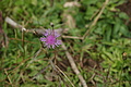 DSC05680 - Bernhard Saalfeld